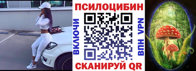 дарк нет состав  цены наркотик  Курлово  Псилоцибиновые грибы MAGIC MUSHROOMS 